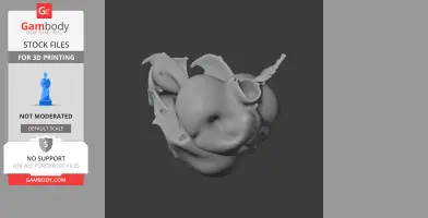 Degu Skull - Skull Replica STL