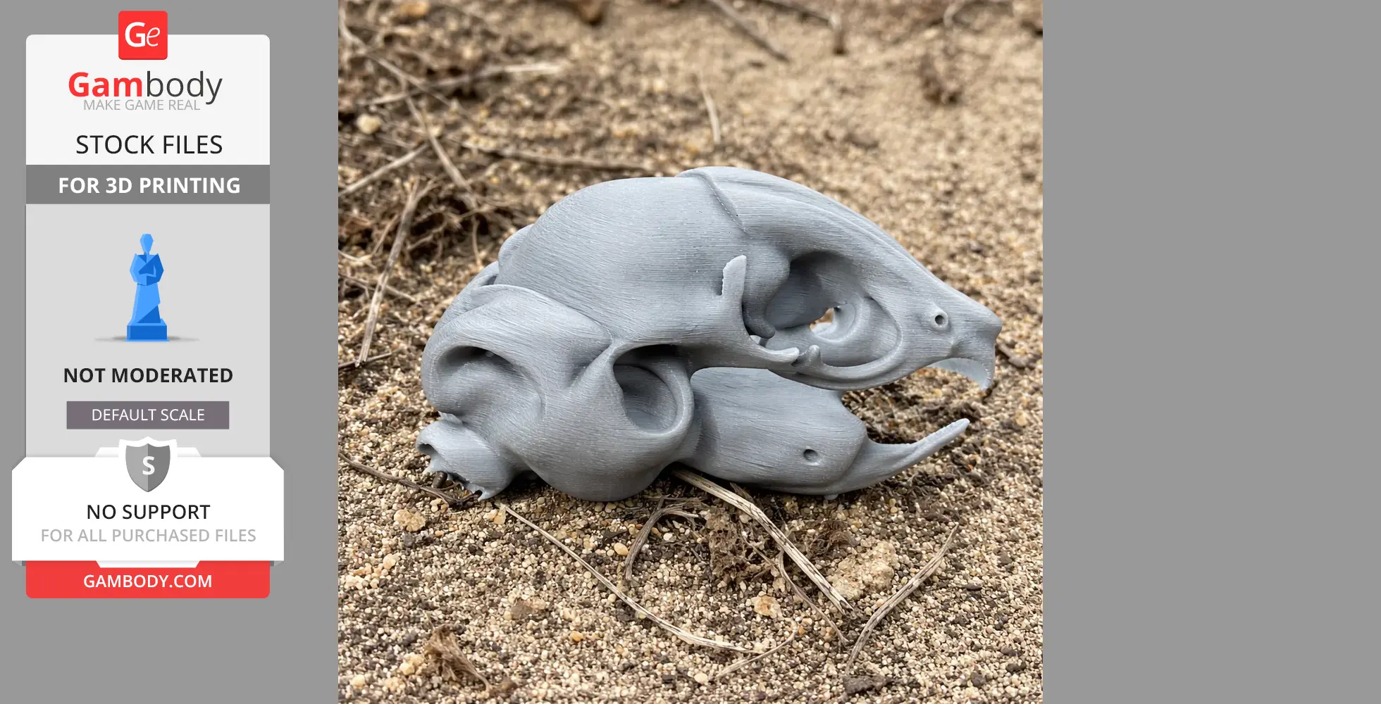 Degu Skull - Skull Replica STL