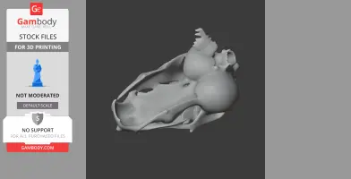 Degu Skull - Skull Replica STL