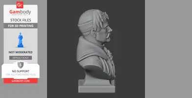 3D model of Jan III Sobieski bust, detailed historical warrior for 3D printing.