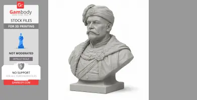 Bust of a historical warrior with a mustache and hat, detailed clothing, suitable for 3D printing.