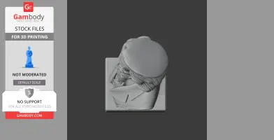 Top view of a detailed sculpted bust with a hat, designed for 3D printing.
