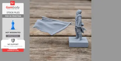 3D printed Napoleonic soldier model holding a flowing flag, standing on a textured base.