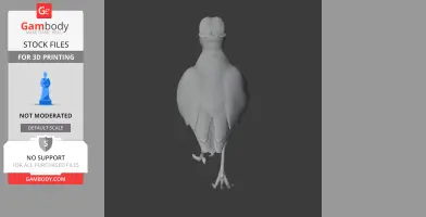 3D model of a prehistoric bird with detailed body and legs, viewed from the back.