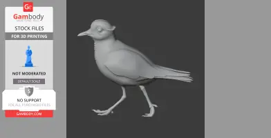 3D model of a prehistoric plover-like bird in a side view, designed for 3D printing.