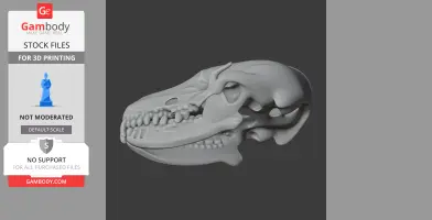 Desert Hedgehog Skull - Skull Replica STL