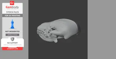 Desert Hedgehog Skull - Skull Replica STL