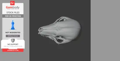 Desert Hedgehog Skull - Skull Replica STL