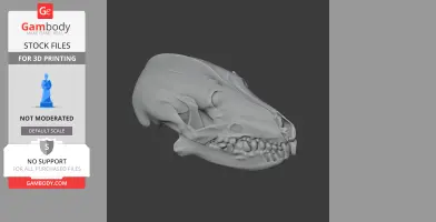 Desert Hedgehog Skull - Skull Replica STL