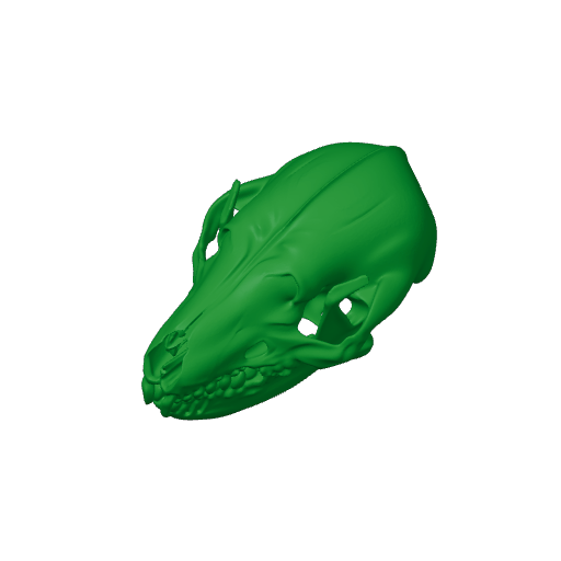 Desert Hedgehog Skull.3mf