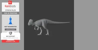 3D model of Prenocephale dinosaur, designed for 3D printing. Features detailed head and tail.
