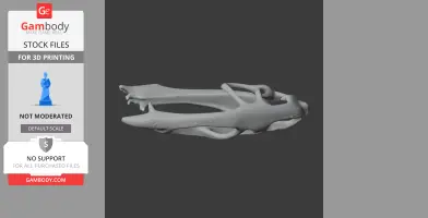 Dimorphodon Skull - Skull Replica STL