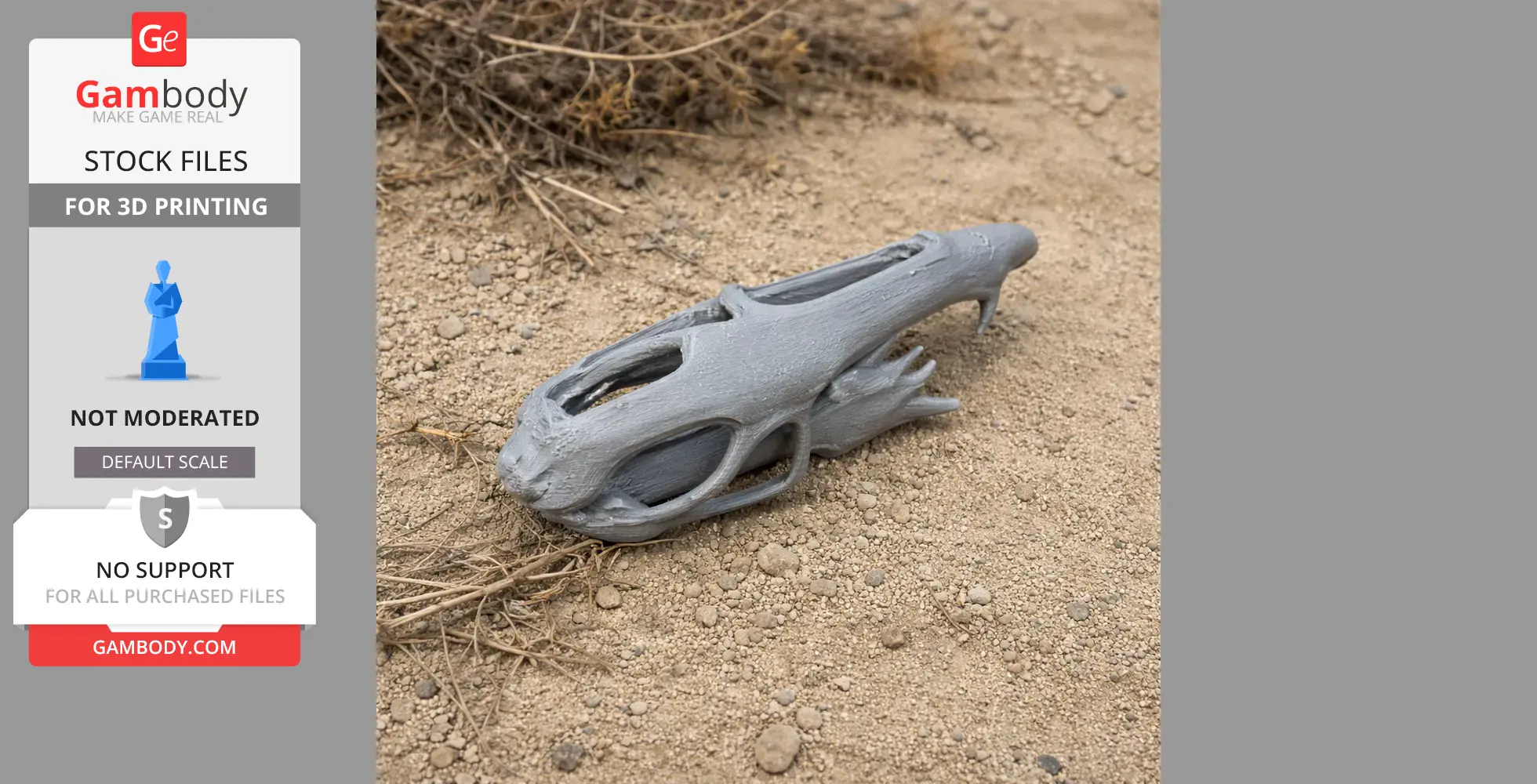 Dimorphodon Skull - Skull Replica STL