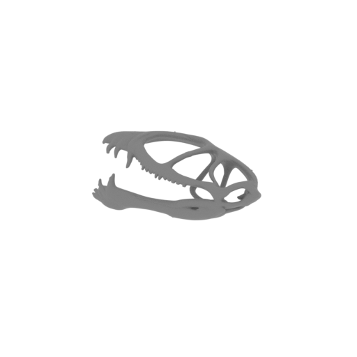 Dimorphodon Skull.stl