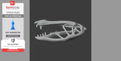Dimorphodon Skull - Skull Replica STL