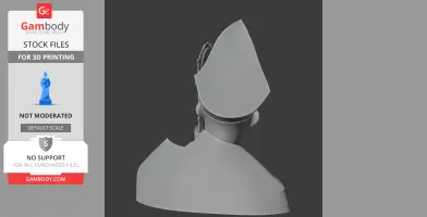 Bishop of Carlisle - Architecture STL