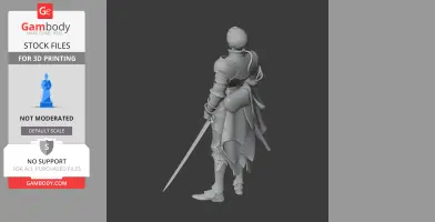 A detailed 3D model of a knight in armor, holding a sword, viewed from behind.