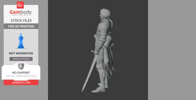 A 3D model of a knight in armor, holding a sword, gazing upward.