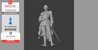A 3D model of a knight in detailed armor holding a sword, standing confidently.
