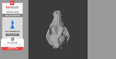 3D model of a dingo skull from a top view, designed for 3D printing.