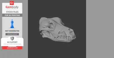 3D model of a dingo skull, detailed and ready for 3D printing.