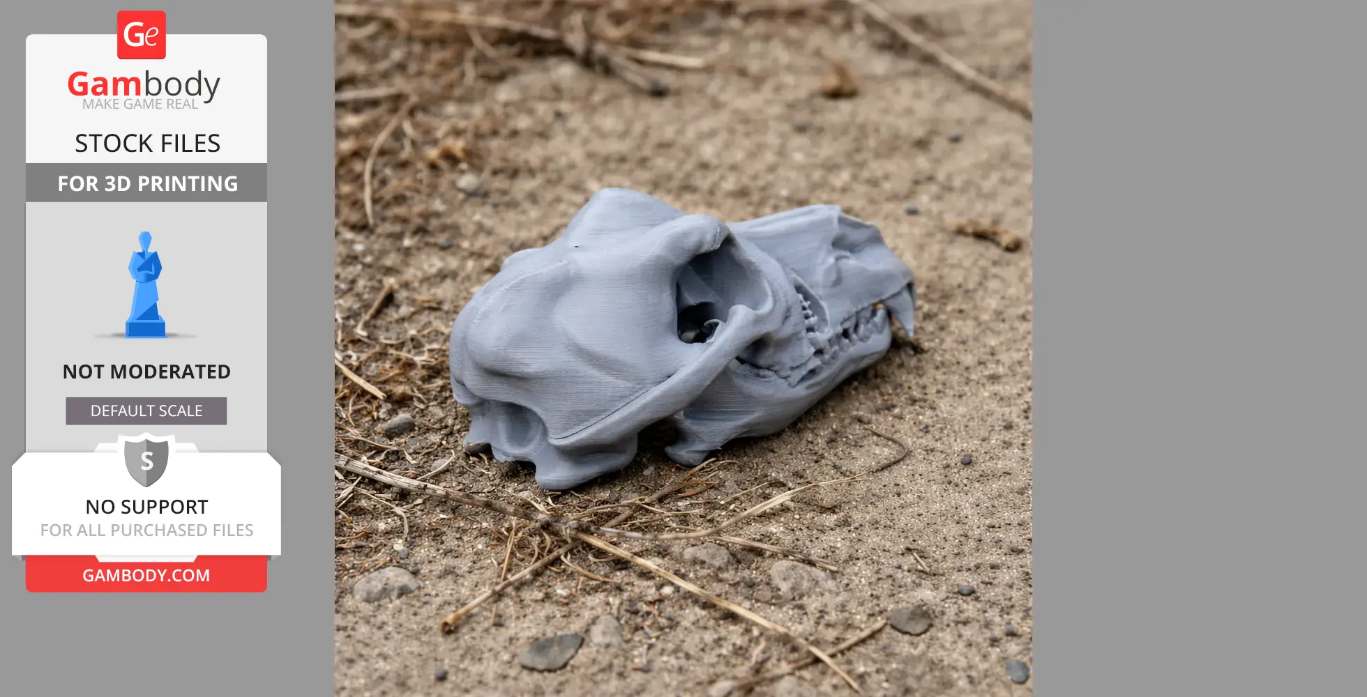 3D printed dingo skull replica lying on sandy ground.
