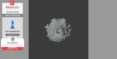 3D model of a dingo skull, showing detailed bone structure for printing.