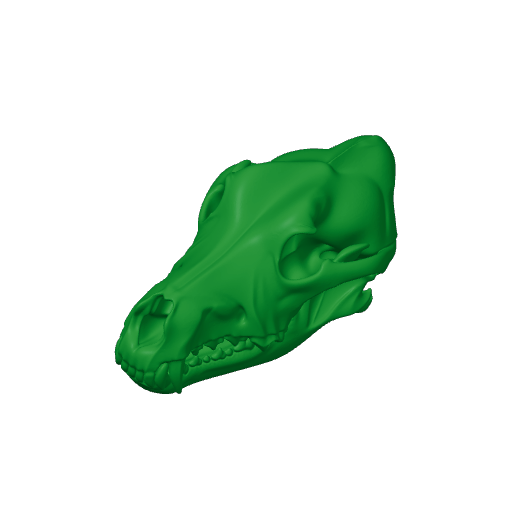 Dingo Skull.3mf