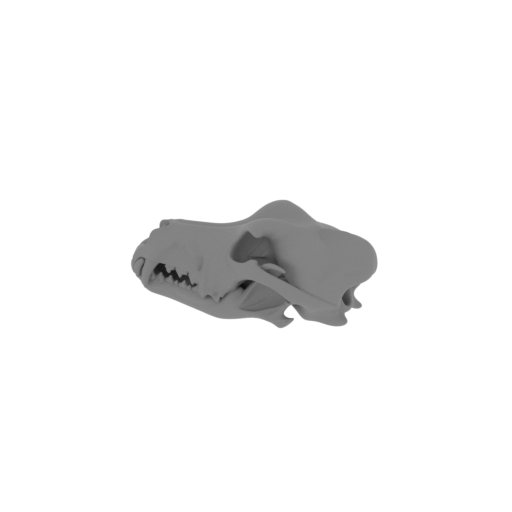 Dingo Skull.stl
