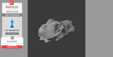 3D model of a dingo skull, detailed and ready for 3D printing.