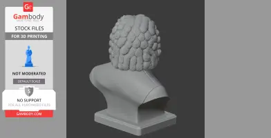 Johann Sebastian Bach Bust - Historical Warrior STL