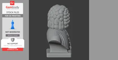 Johann Sebastian Bach Bust - Historical Warrior STL