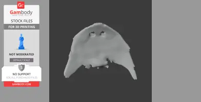 Diplocaulus Skull - Skull Replica STL