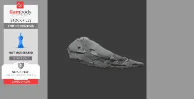 Diplocaulus Skull - Skull Replica STL