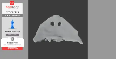 Diplocaulus Skull - Skull Replica STL