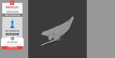 Diplocaulus Skull - Skull Replica STL