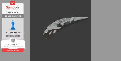 Diplocaulus Skull - Skull Replica STL