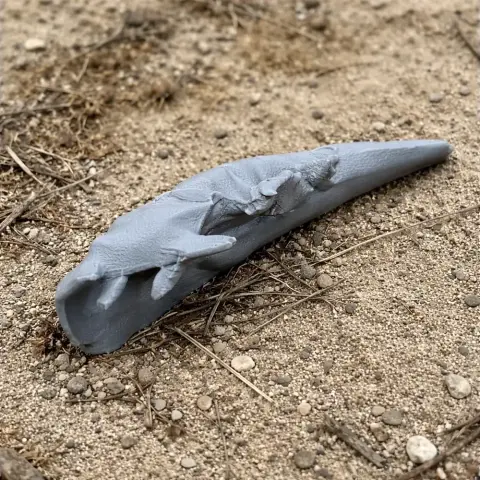 Diplocaulus Skull - Skull Replica STL
