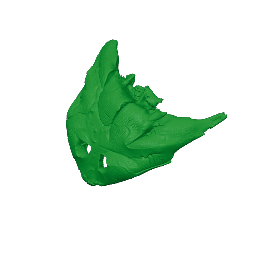 Diplocaulus Skull.3mf