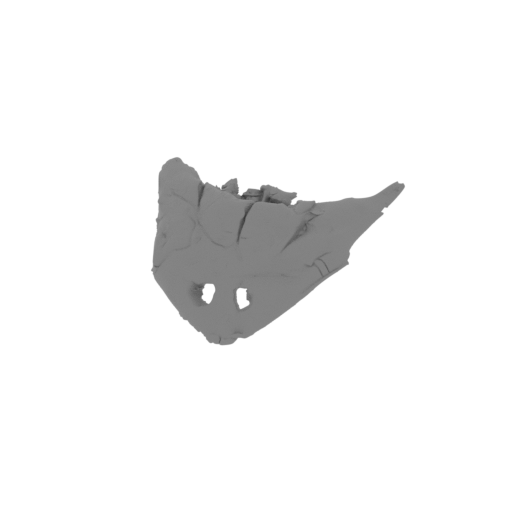 Diplocaulus Skull.stl