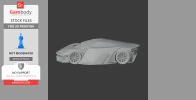 Aria FXE - Scale Vehicle STL