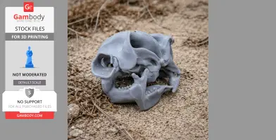 3D printed Diprotodon skull replica rests on sandy ground.
