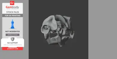 3D model of a Diprotodon skull, gray, detailed for 3D printing on a dark background.