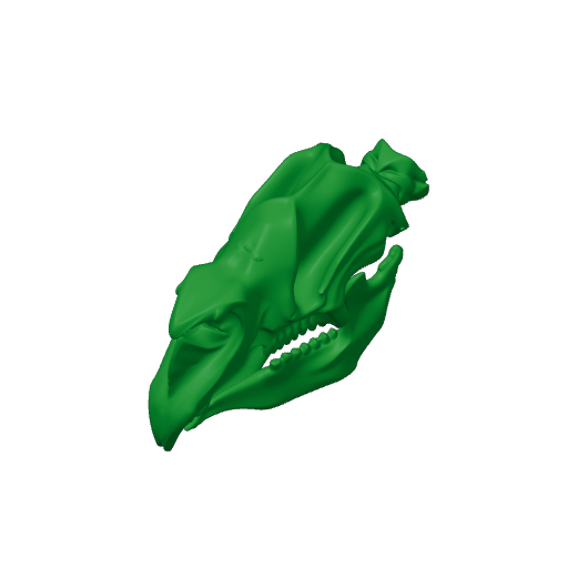Diprotodon Skull.3mf