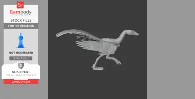 Protoavis - Prehistoric Animal STL