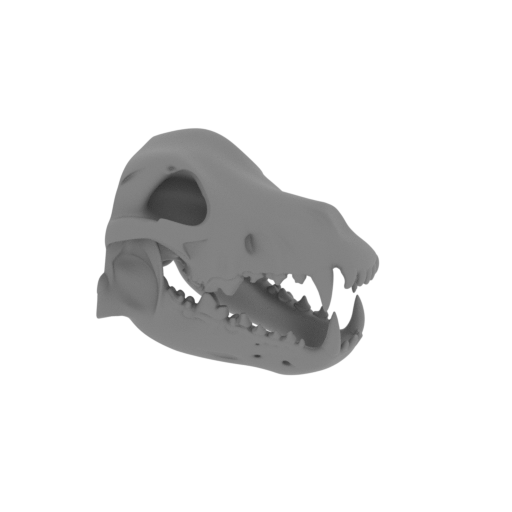 Dire Wolf Skull.stl