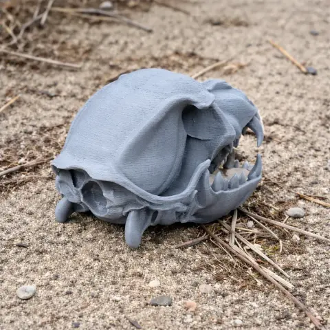 3D-printed dog skull replica in gray, resting on sandy ground with scattered twigs.