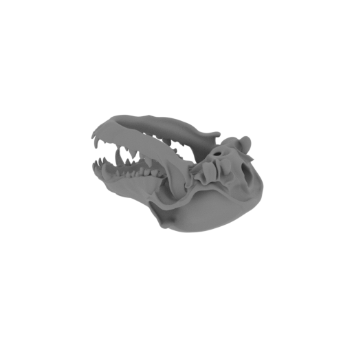 Dog Skull.stl