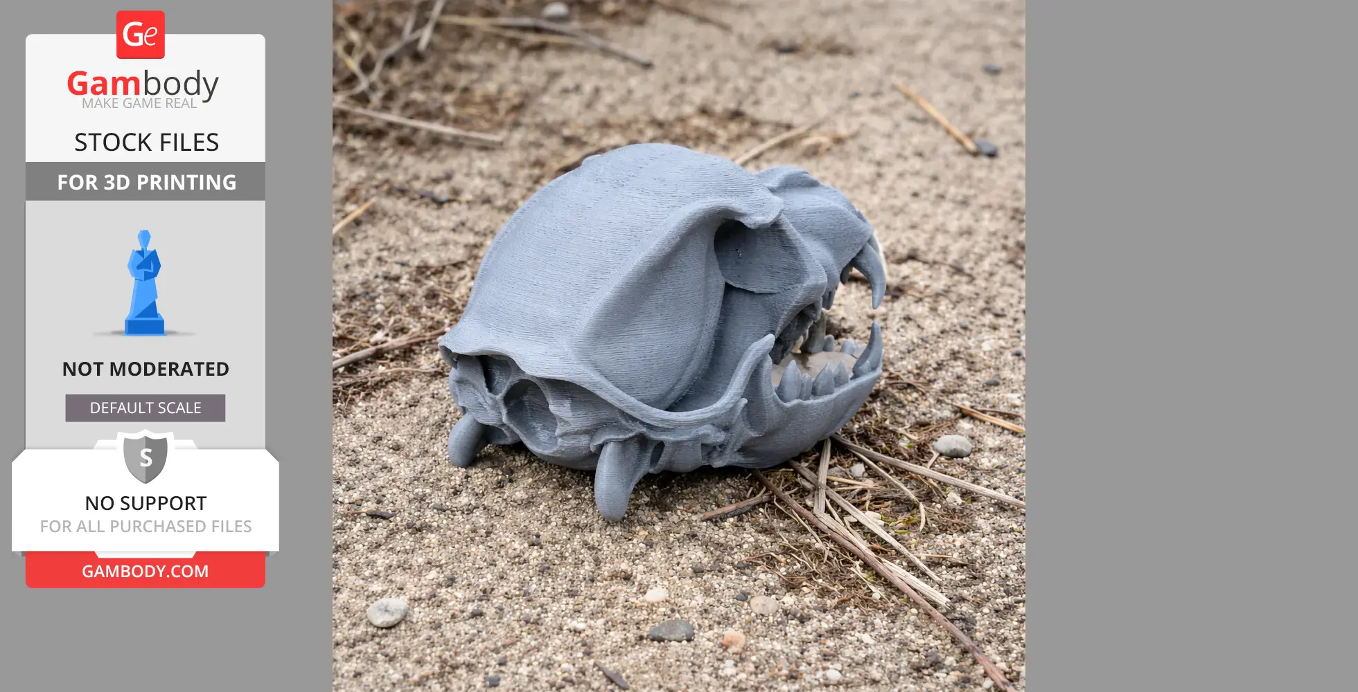 A 3D-printed gray dog skull replica resting on sandy ground.