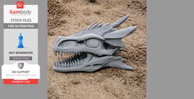 Dracopelta Skull - Skull Replica STL